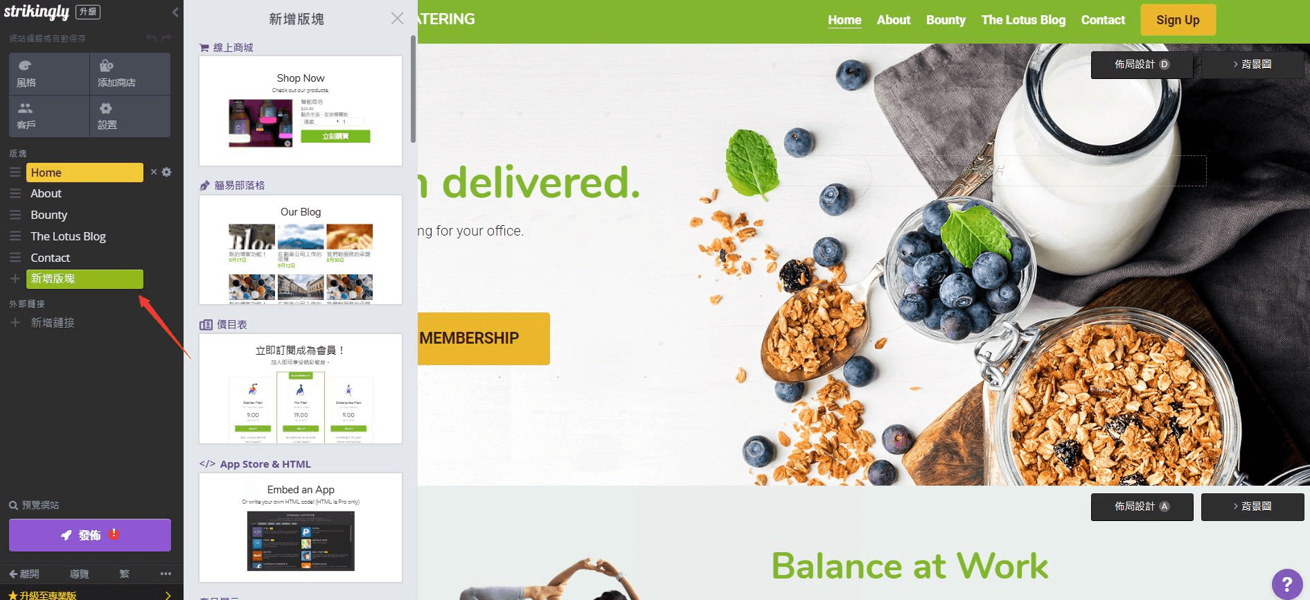 網站編輯器 網站編輯器